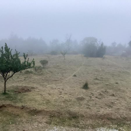 Hotel Las Carretas , Spa Y Temazcal Zacatlán المظهر الخارجي الصورة